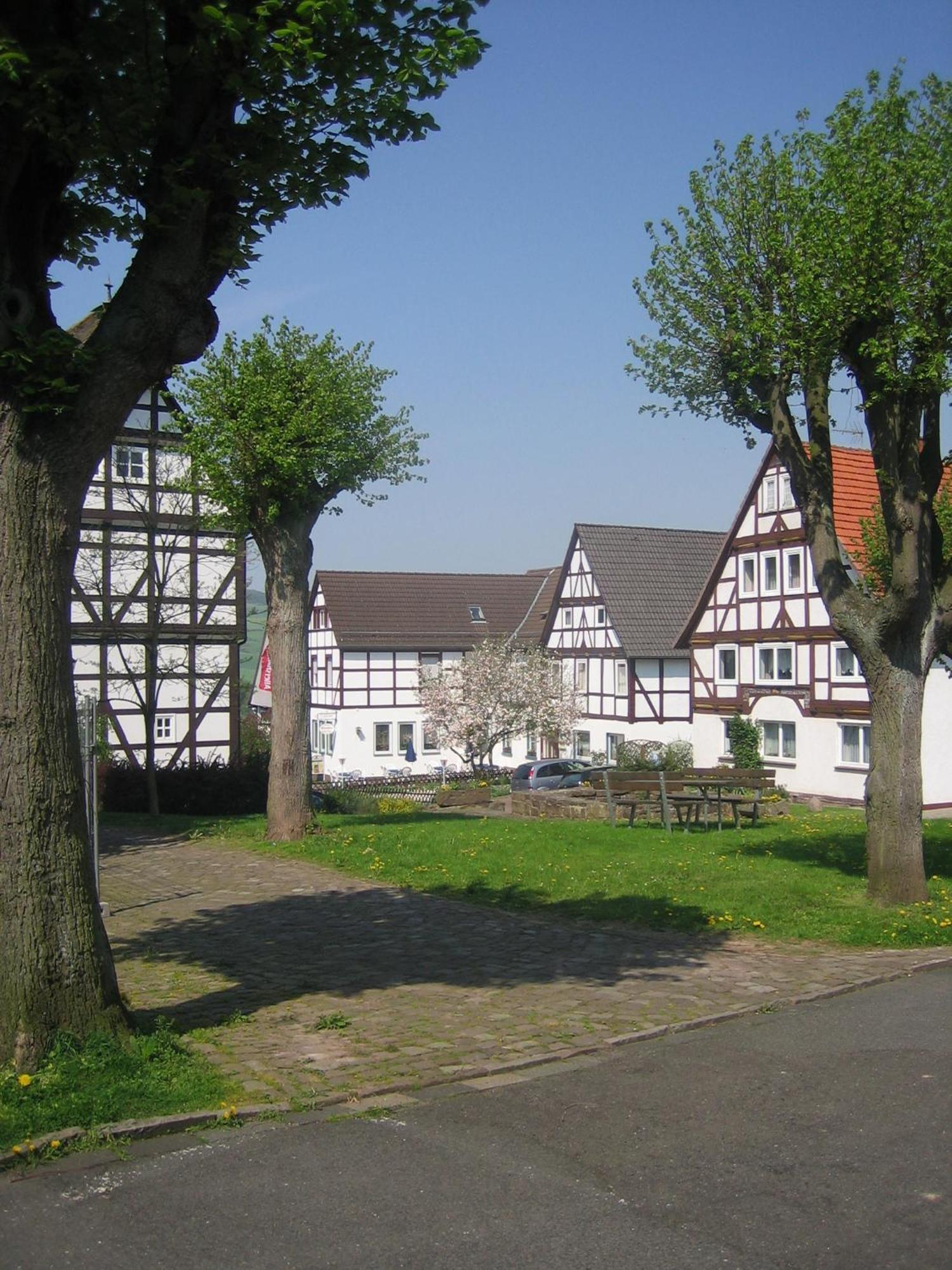 Hotel & Restaurant - Gasthaus Brandner Trendelburg Екстериор снимка